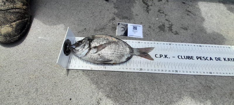 Fish Measure Picture